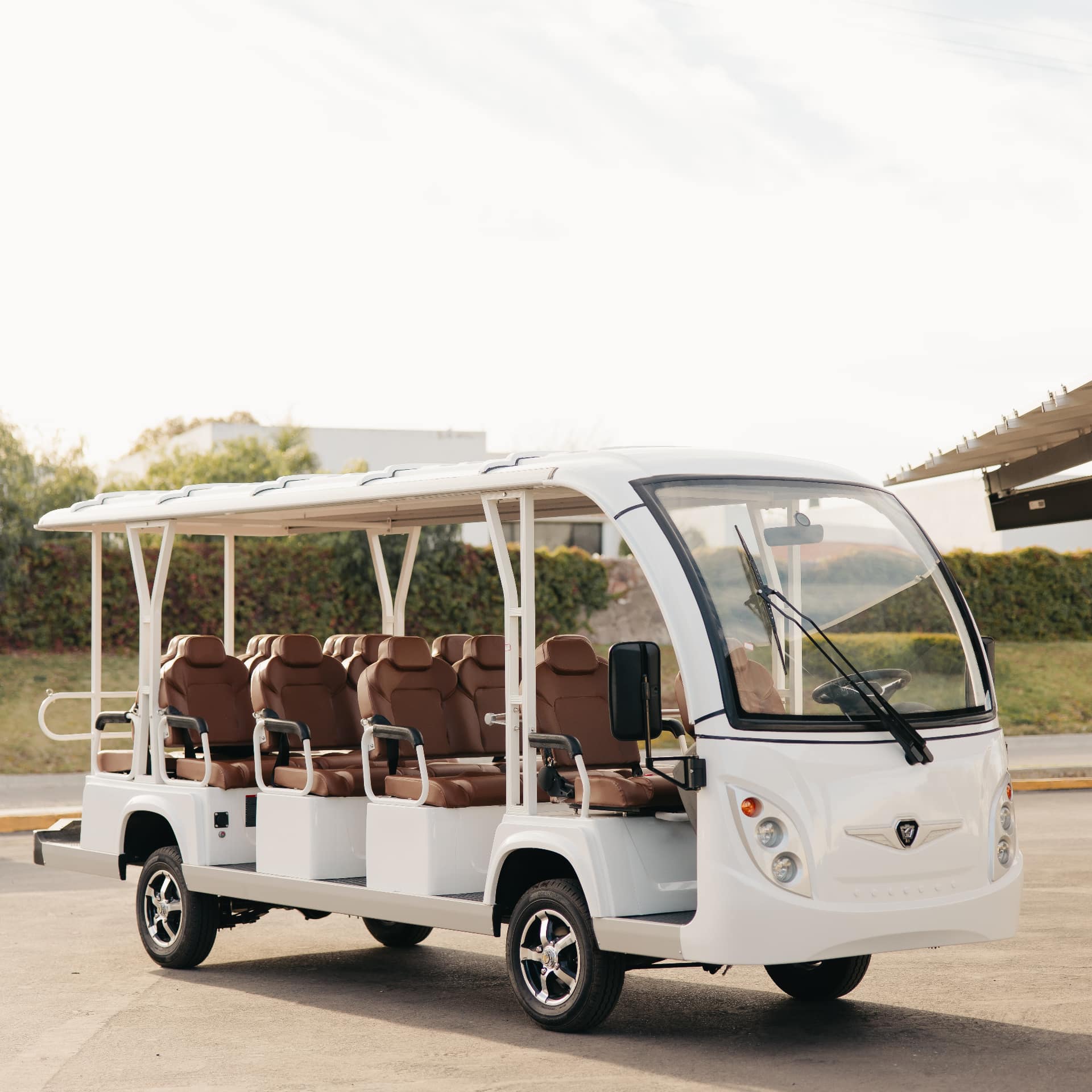 ZYCAR A14 electric golf cart